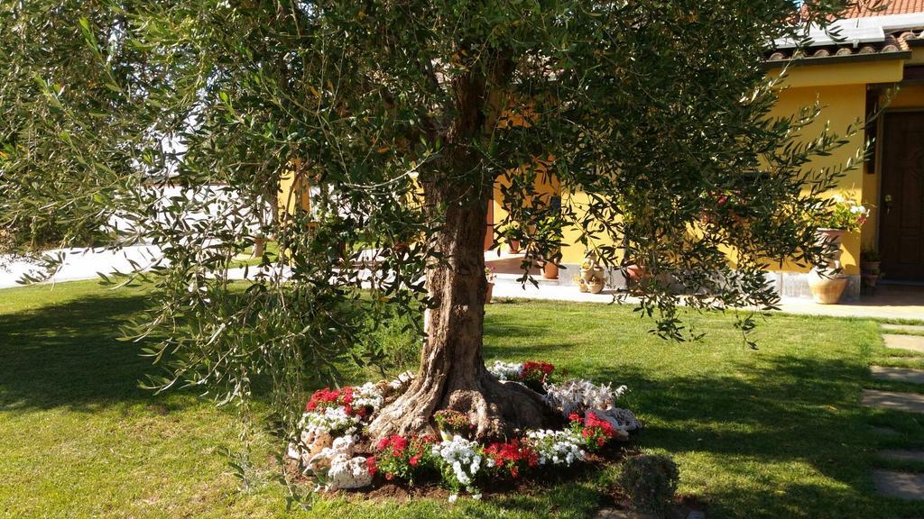 L'Antico Vigneto Hotel Marino Kültér fotó
